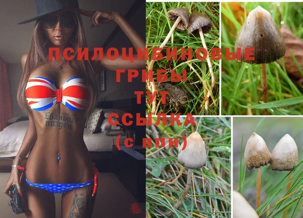 ECSTASY Армянск
